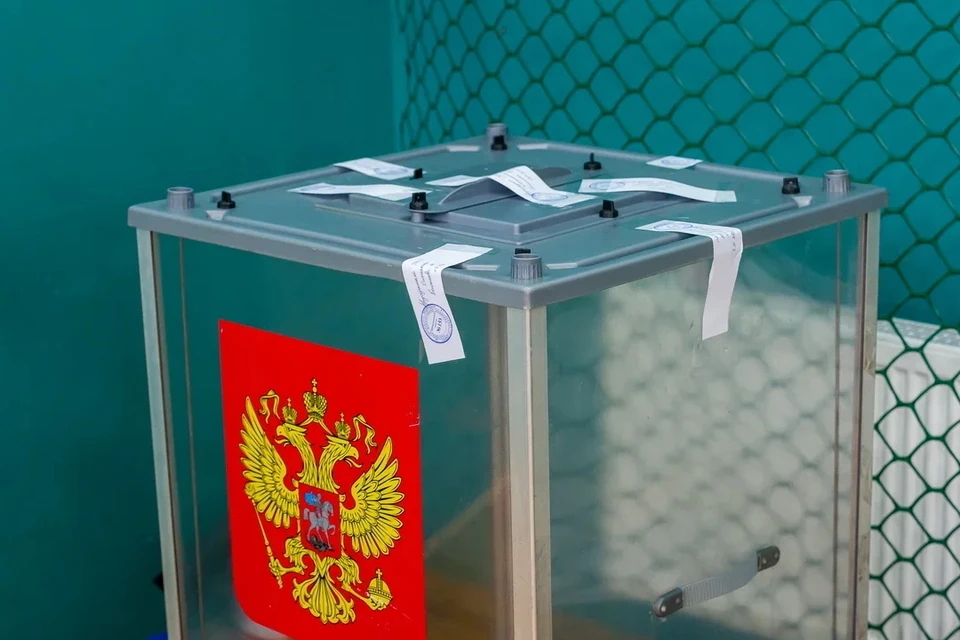 В СПбГУ еще раз прокомментировали сообщения о предложении студентам фальсифицировать выборы.