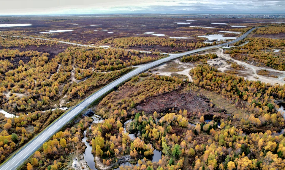 Фото: Правительство ЯНАО