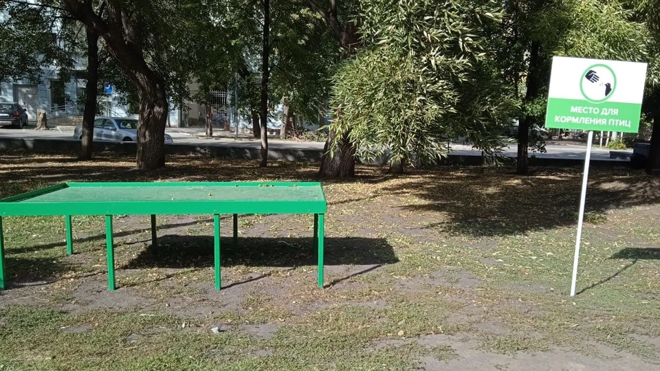 Такой стол для голубей установили на Алее Славы. Фото: администрация Челябинска