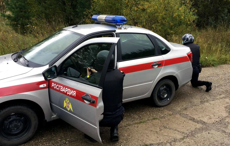 Женщина не оценила поступок бывшего возлюбленного. Фото: сайт УФСВНГ РФ по Томской области