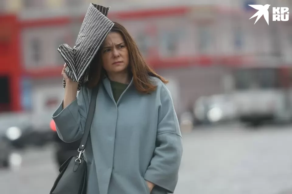 Погода в Твери способствует меланхолии. Главное - не хандрить!