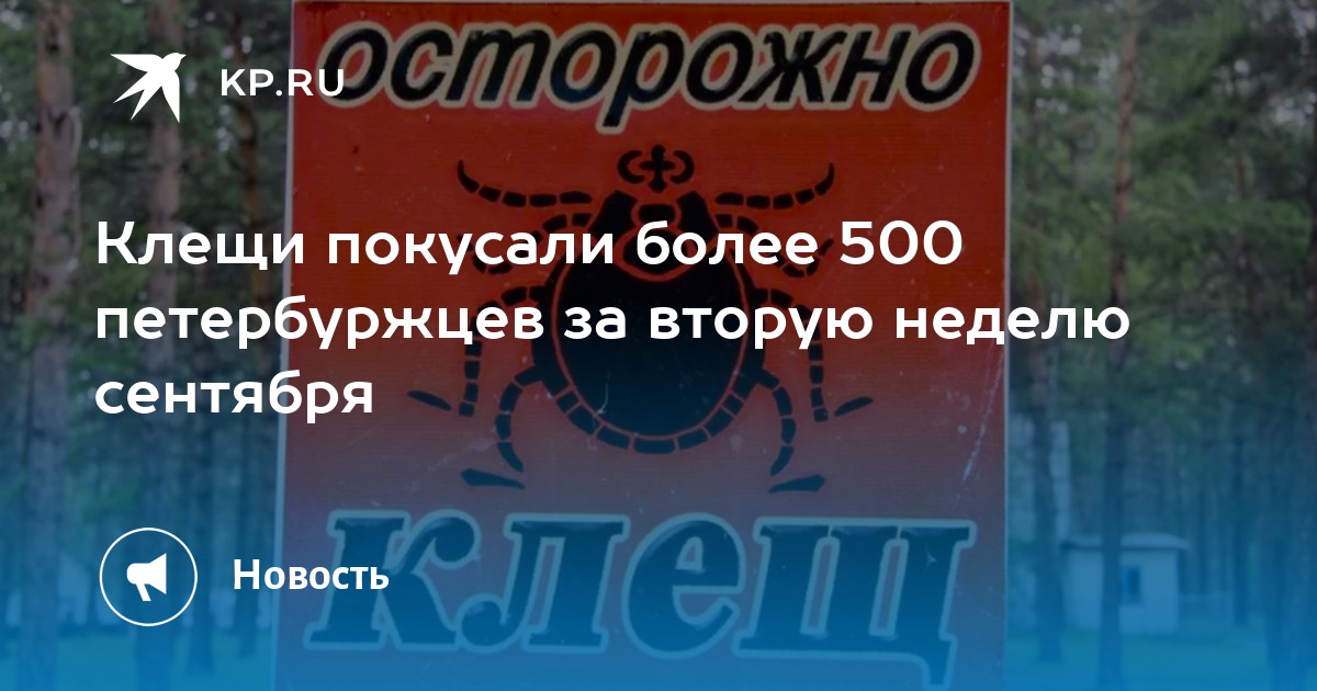 300 случаев. 300 случаев. 300 случаев. 300 случаев. 300 случаев.