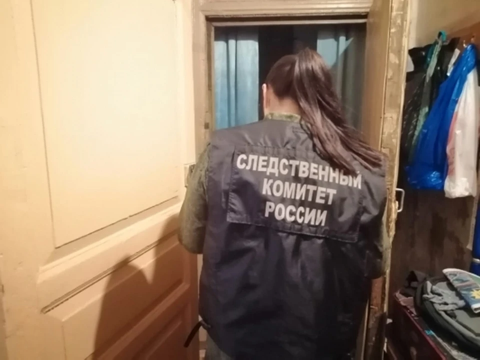 Фото: СУ СК по Саратовской области