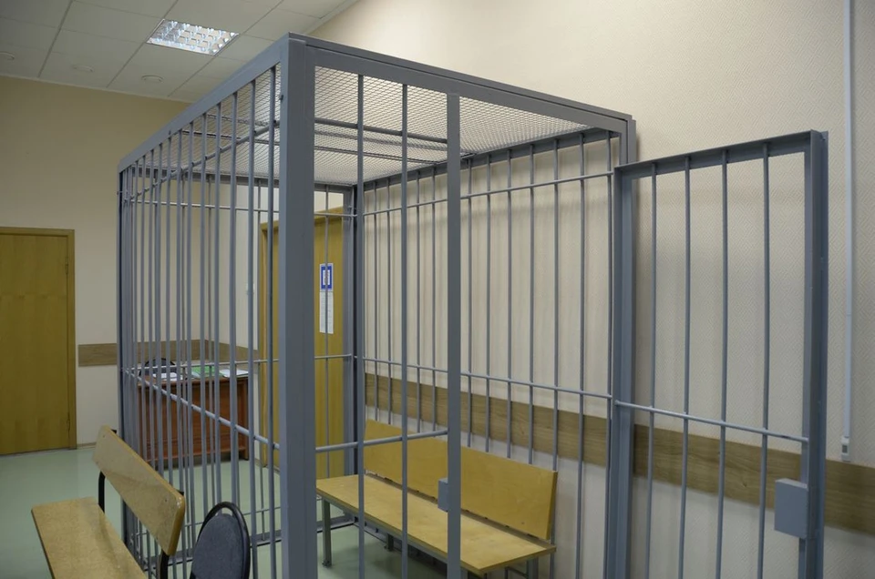 Суд признал мужчину виновным в данной краже и назначил ему 2 года исправительной колонии строгого режима