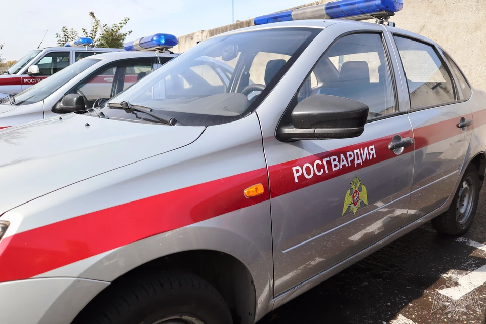 34-летний мужчина был в розыске с 15 сентября этого года за умышленное причинение легкого вреда здоровью. Фото: Росгвардия Томск