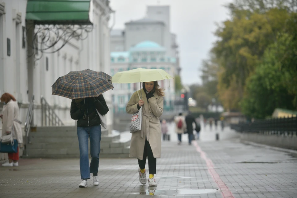Рабочая неделя выдастся холодной и дождливой.