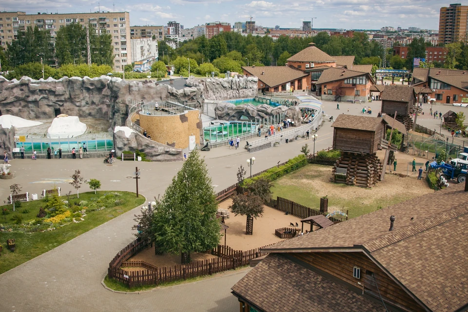 Акция проходит в одиннадцатый раз. Фото: Сергей Грачев