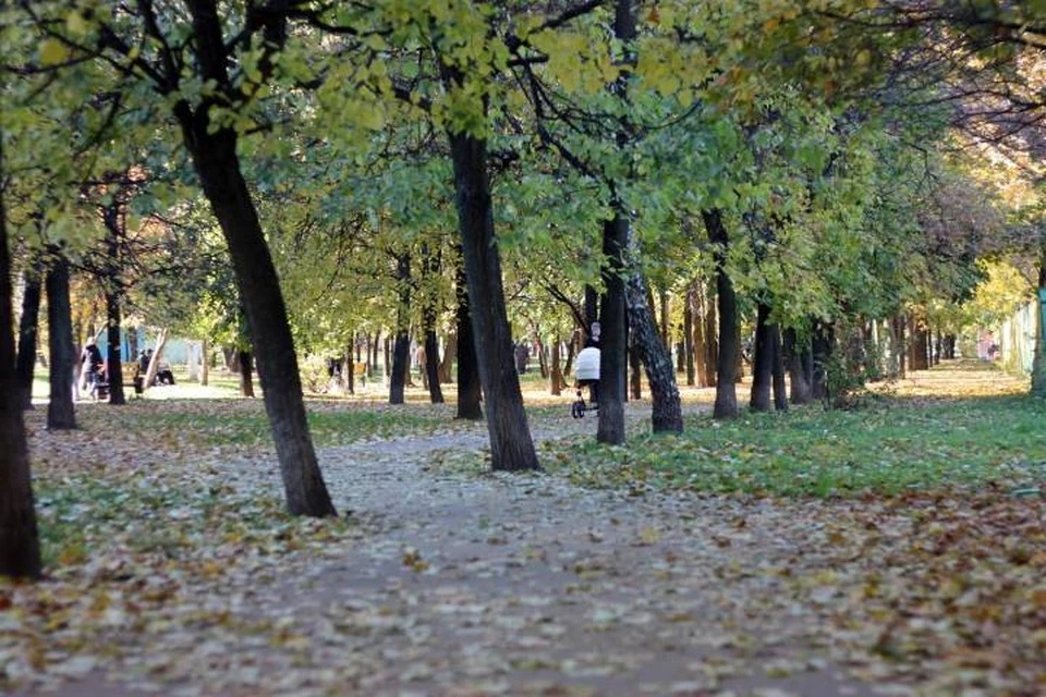 Осенняя пора постепенно подходит к своему экватору