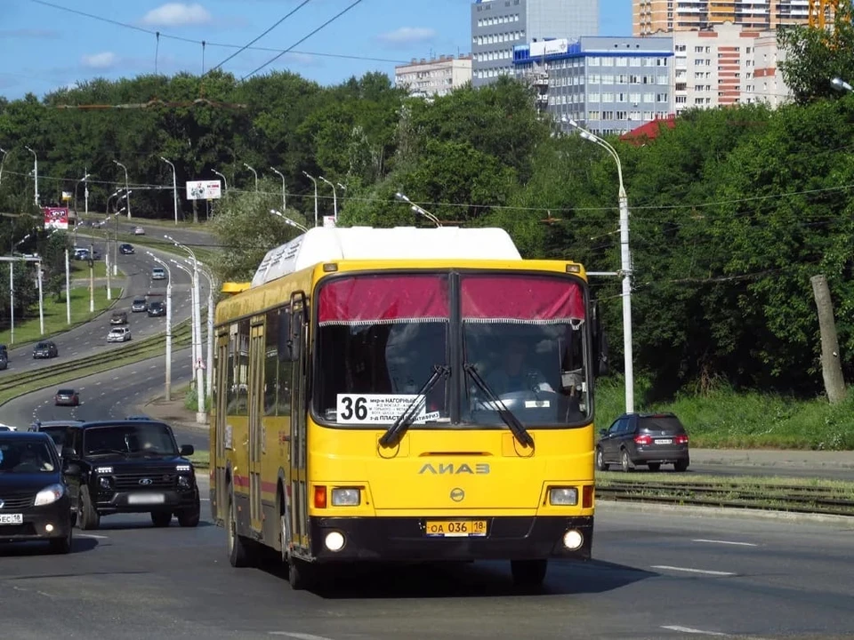 На 36 маршрут выедут 3 дополнительных автобуса. Фото: АО «ИПОПАТ»