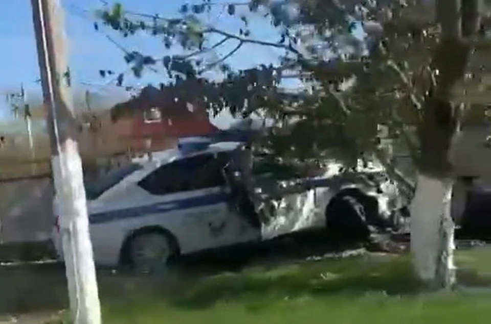 Фото: скриншот видео