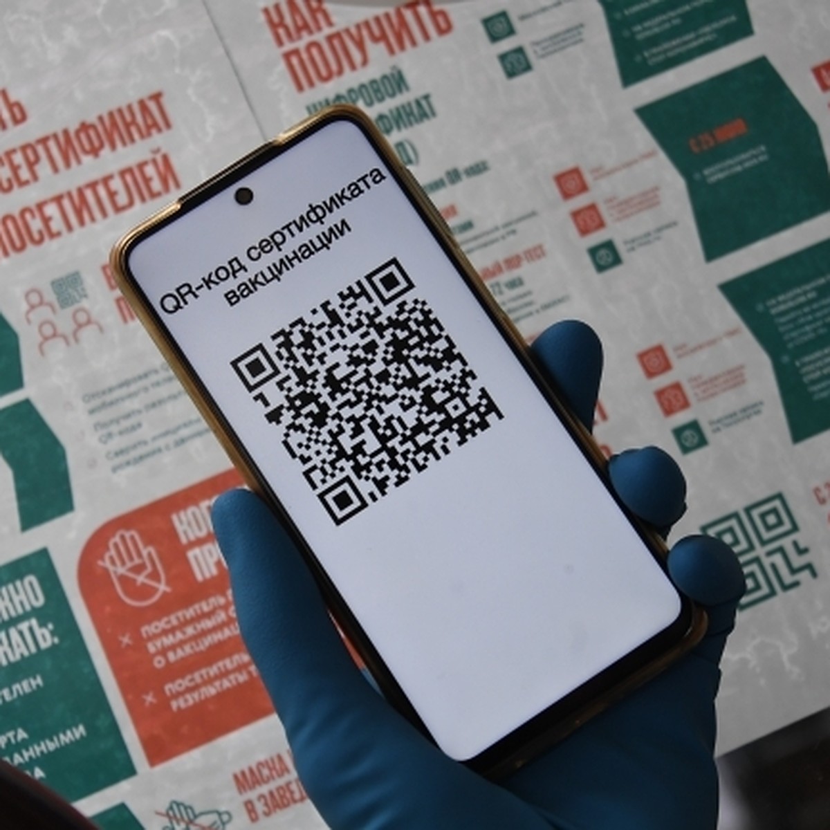 Решение о вводе QR-кодов в Челябинской области: новые возможности вместо  локдауна - KP.RU