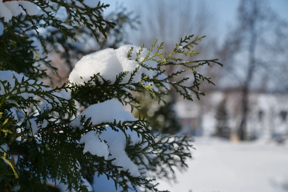 Зима в Кировской области в среднем обещает быть умеренно холодной.
