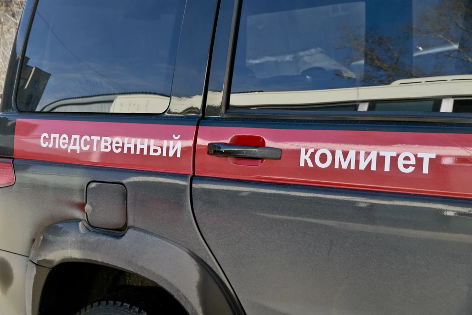 СУ СКР по Алтайскому краю возбудило уголовное дело об истязании