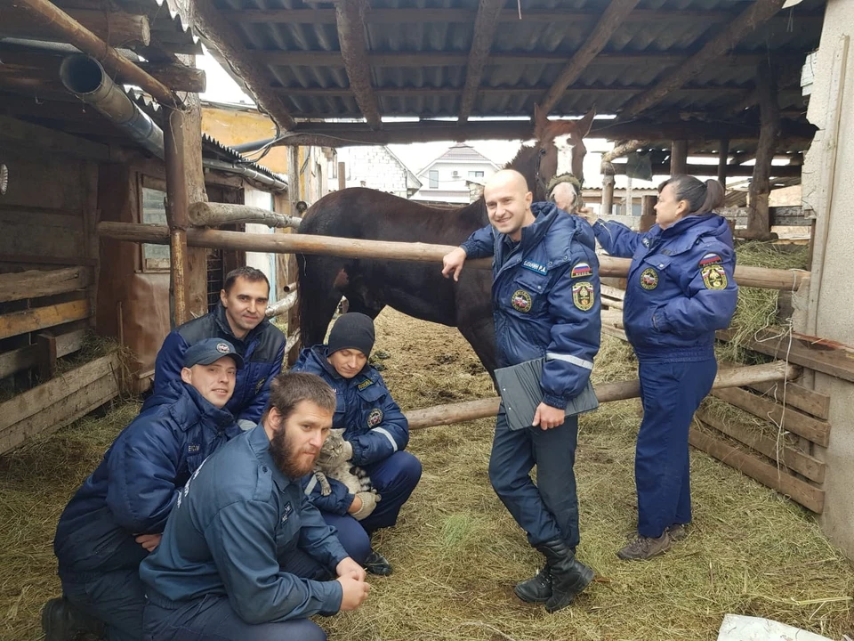 Фото предоставлено управлением ГО и ЧС Воронежа