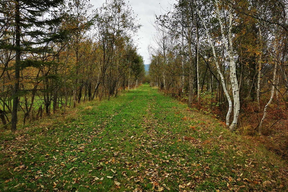 Погода на Сахалине в октябре.