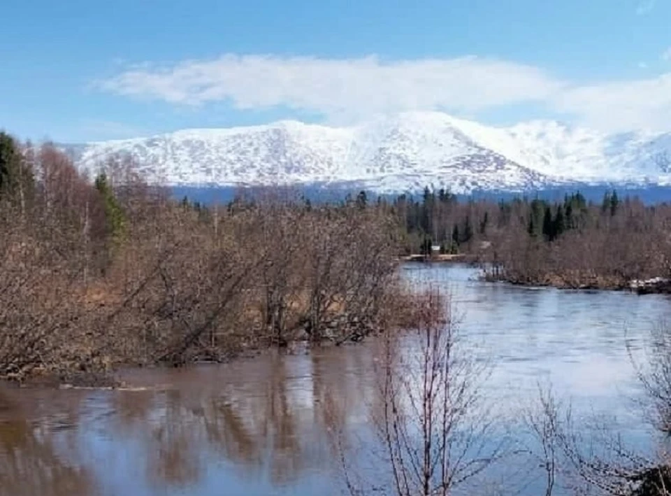 В реку Лысьву сливали отходы с завода.