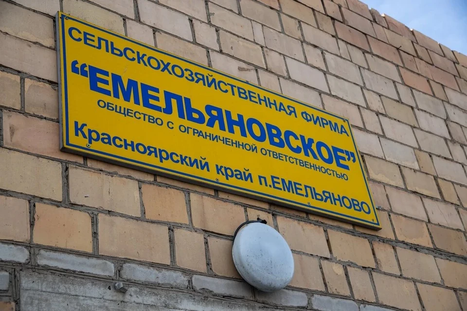 Новая команда подняла некогда успешное хозяйство, оказавшееся на грани банкротства