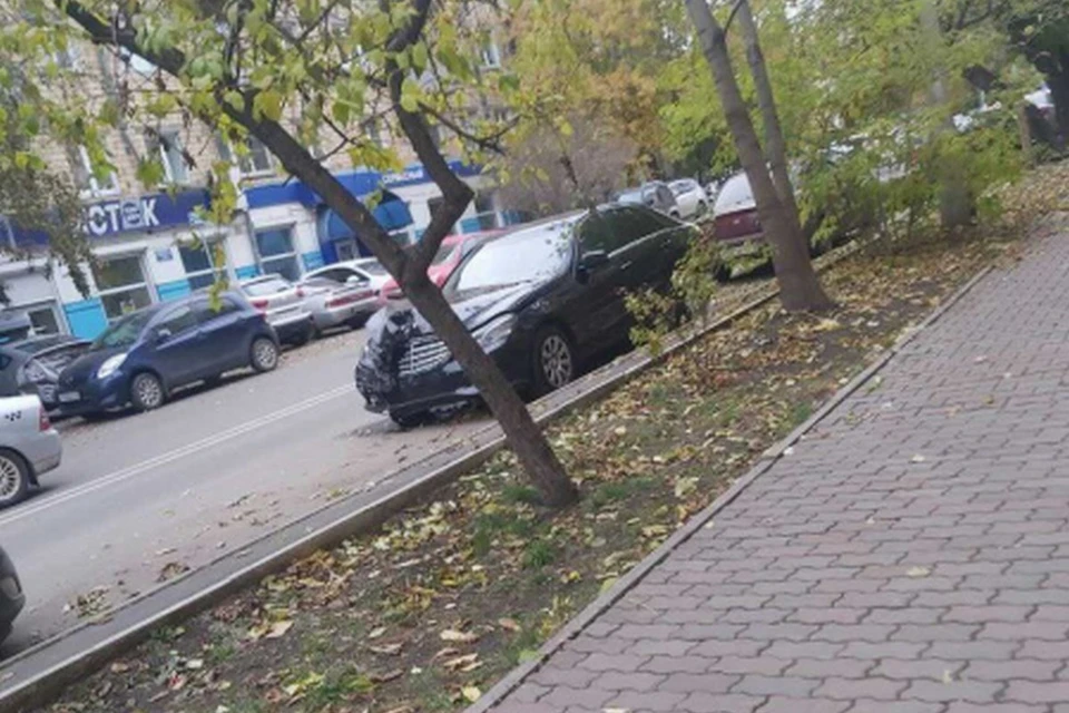 В Красноярске задержали водителя, который повредил ворота Центрального парка. Фото: ГИБДД