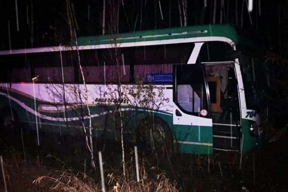 Происшествие произошло в 22:15. Фото: УГИБДД по Хабаровскому краю