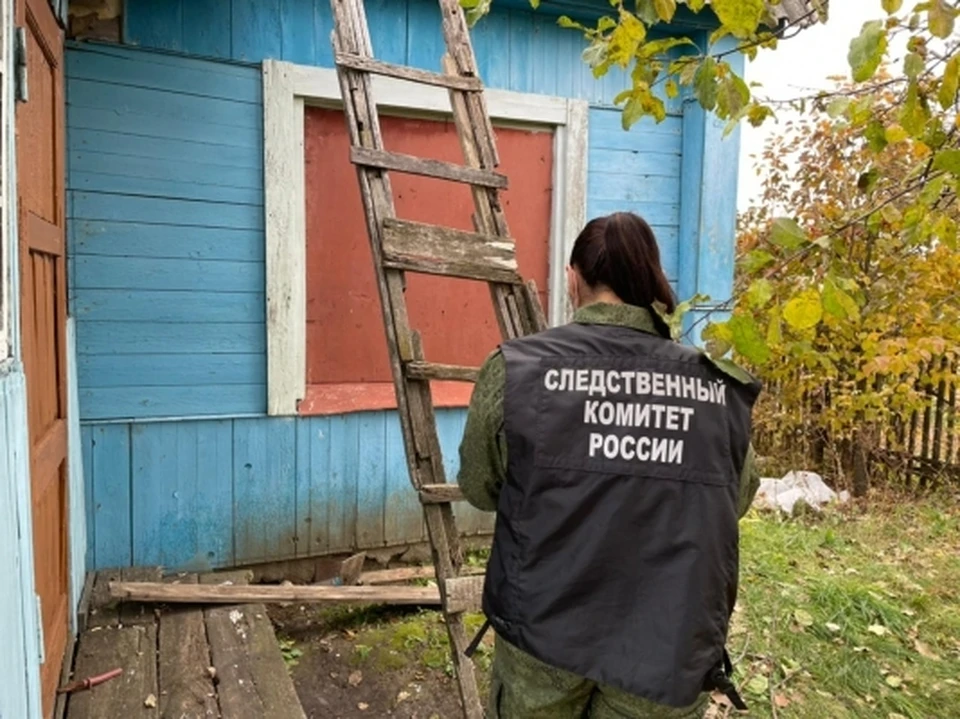 Фото: СУ СК по Саратовской области