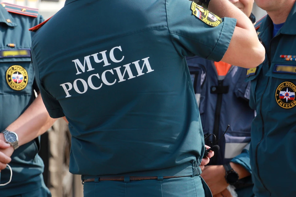 В Рязани завелись мошенники, которые выдают себя за сотрудников МЧС.