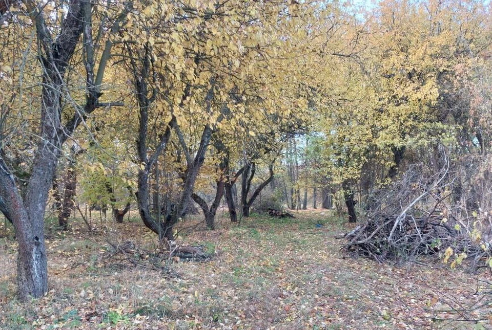 фото департамента экологии и природных ресурсов Воронежской области