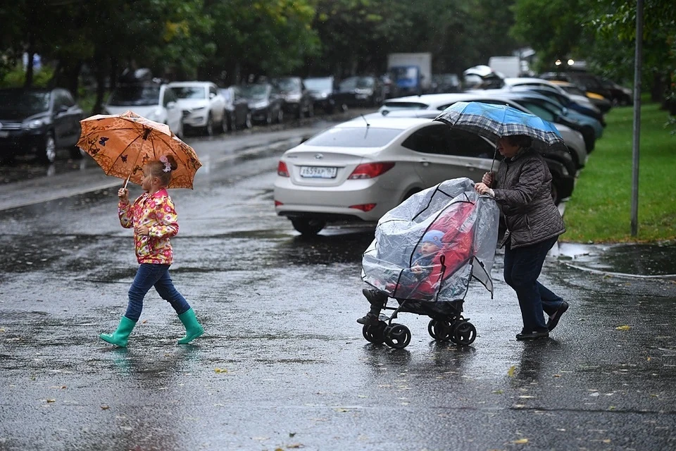 «Желтый уровень» погодной опасности объявлен в Москве из-за ветра