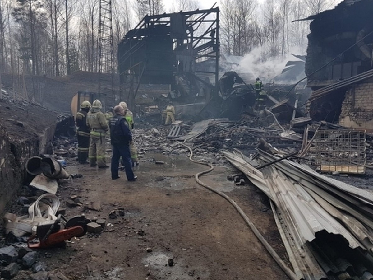 Взрыв в поселке Лесной Рязанской области 22 октября 2021 года: что известно  о пожаре в пороховом цеху - KP.RU