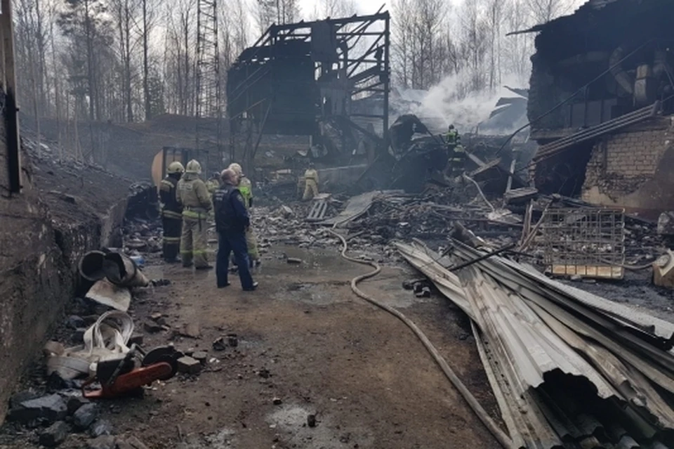 Взрыв в поселке Лесной Рязанской области с последующим возгоранием произошел 22 октября 2021 года.