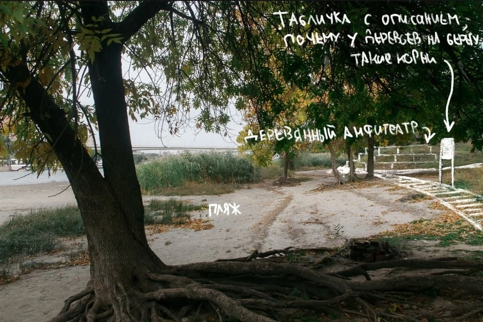 По их мнению, вмешательство в природу должно быть минимальным Фото: соцсети