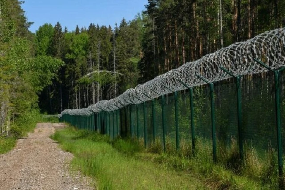 Временные заборы из колючей проволоки являются слабой защитой от нелегальных мигрантов. Фото: rs.gov.lv