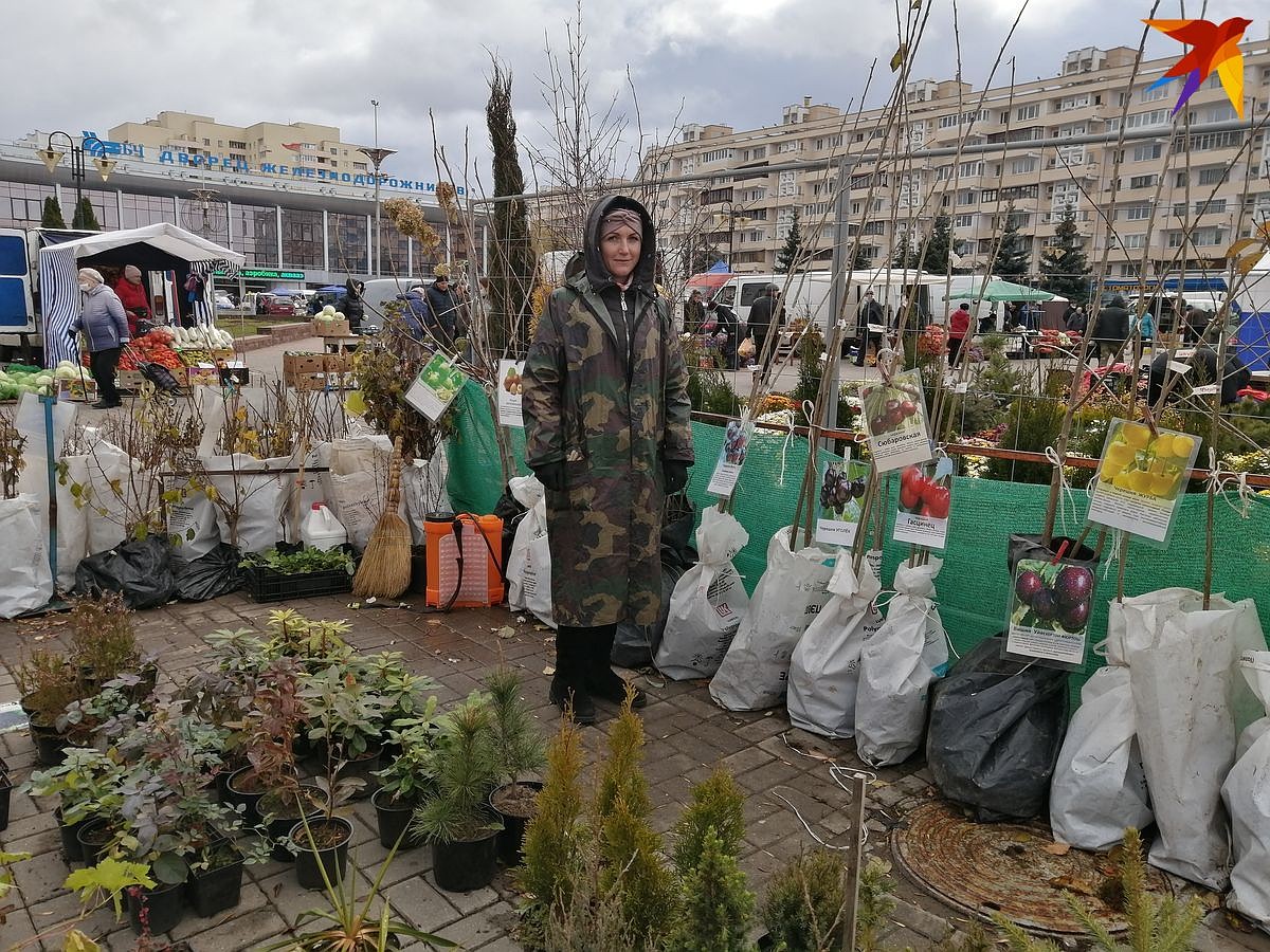 Из экзотики есть гумми, съедобный каштан и шарафуга»: смотрите, какие  необычные саженцы предлагают белорусским дачникам - KP.RU