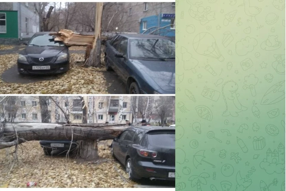 Фото: скриншот с паблика