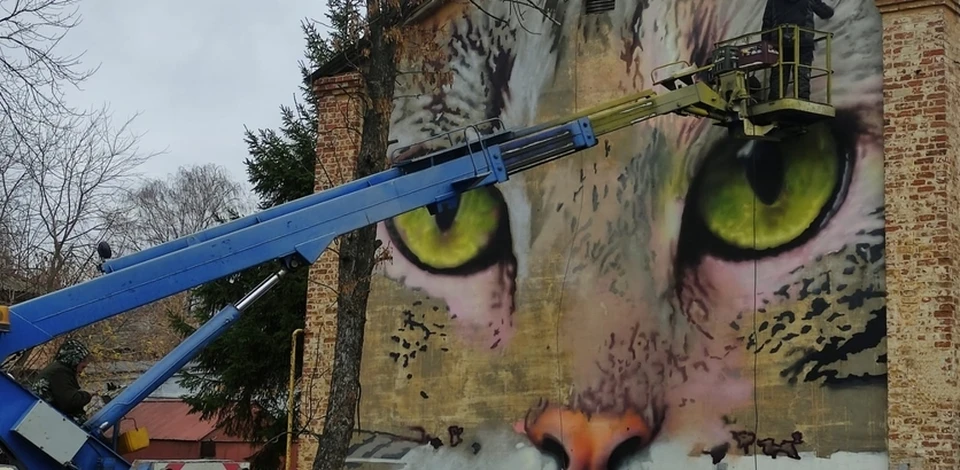 Граффити на улице Культуры. Фото: Администрация Нижнего Новгорода.