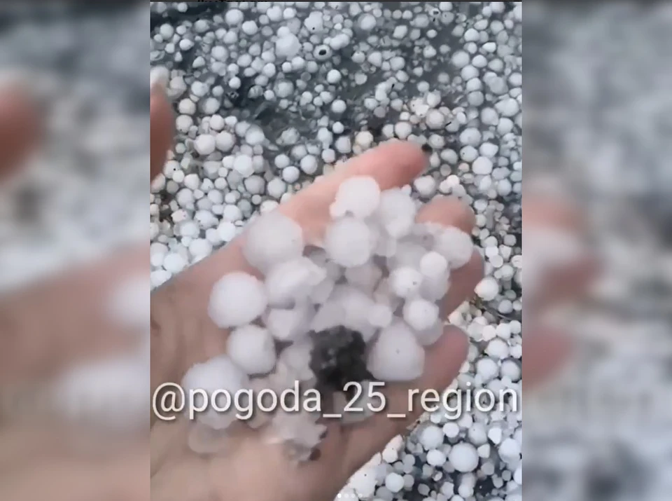 Фото: принтскрин видео pogoda_25_region