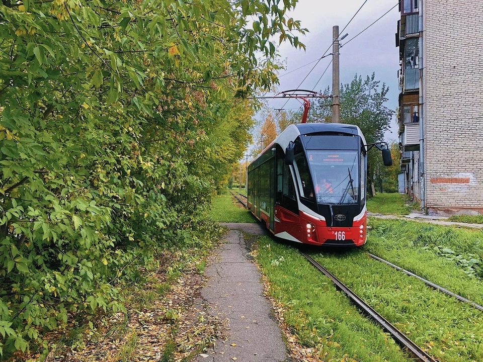 Фото со страницы мэра Череповца