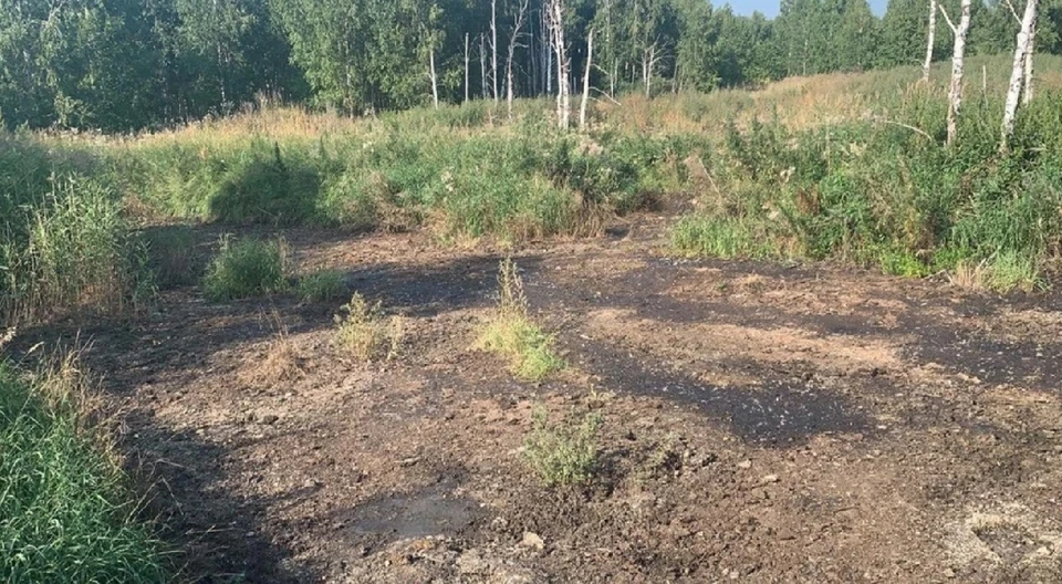 Помет складировали в поле с нарушением закона. Фото: прокуратура Челябинской области