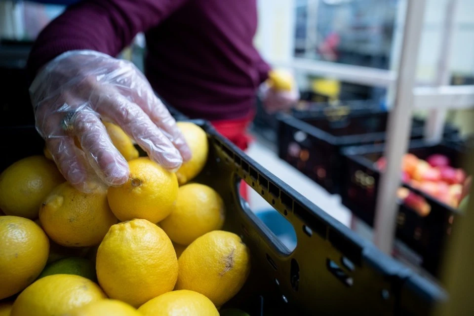 Роспотребнадзор приостановил ввоз лимонов турецкого производителя из-за нарушений