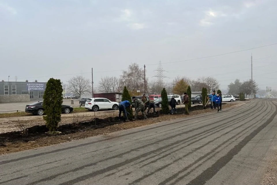 4 ноября пятигорск. Аллея единства Нальчик. Аллея в ноябре. ДТП 4 ноябрь в Пятигорске.