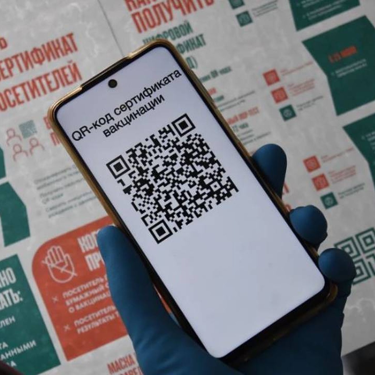 Как получить QR-код в Иркутске. Появилась инструкция по применению  сертификатов для жителей города - KP.RU