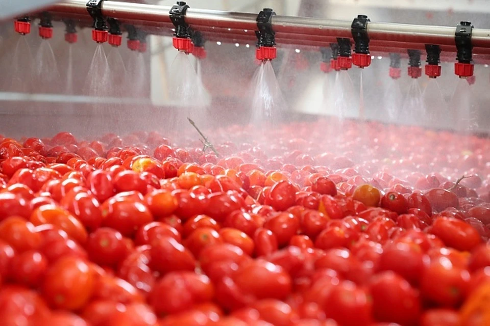 Предприятие будет выпускать около 50 наименований продукции. Фото: АВО