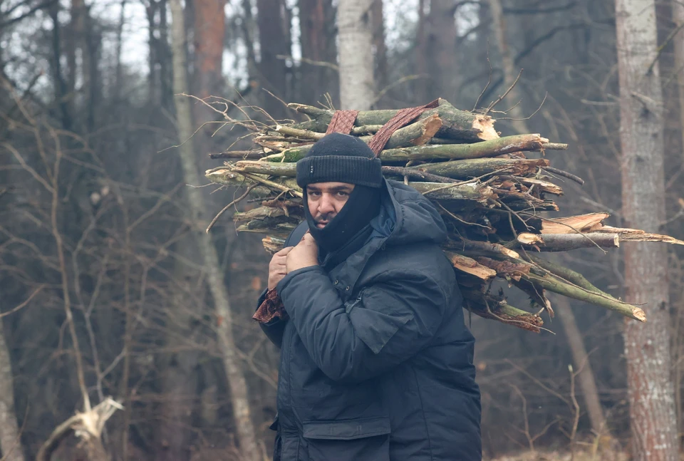 Мигрант с вязанкой дров у границы с Польшей.