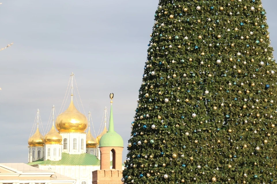 Ели в туле. Елка в Туле.