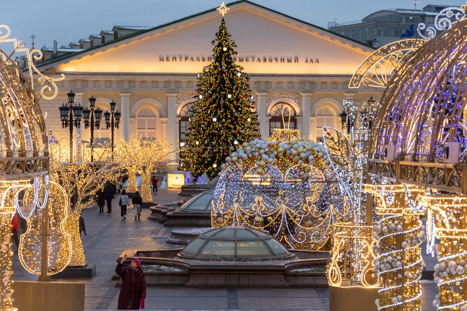 Новогодний центр москвы