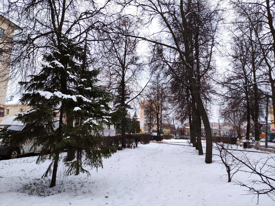 Нижегородский сквер Автомобилистов в Сормове переименовали в сквер Валерия Иконникова Фото: пресс-служба правительства Нижегородской области