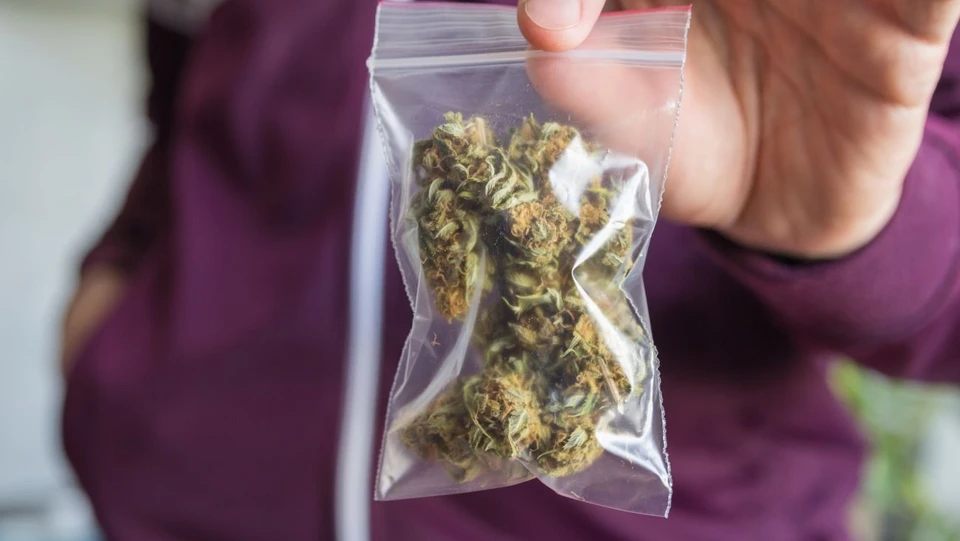Полицией изъято более 4 килограмм марихуаны. Фото: mordovmedia.ru