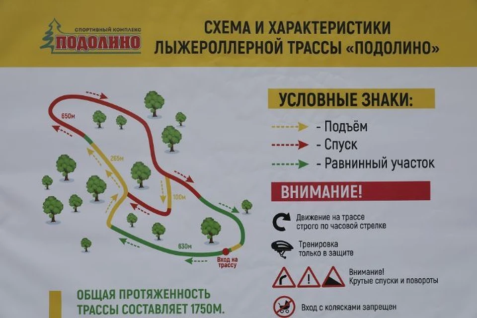 В Ярославской области открыли лыжероллерную трассу