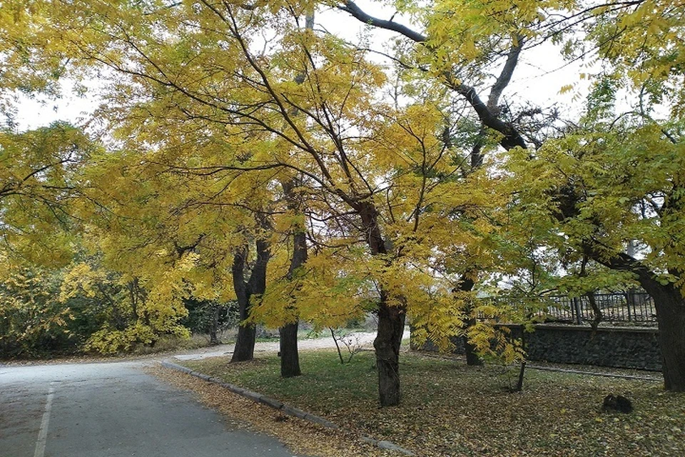 В Крыму потеплеет. Фото: Ирина Сазонова.