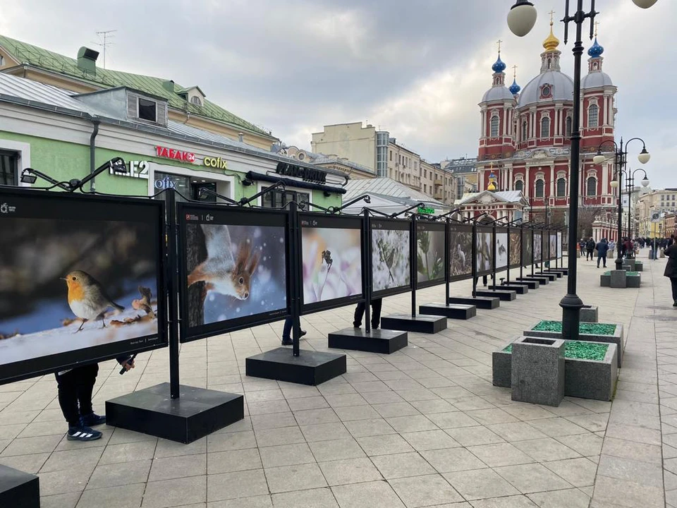Фото предоставлено пресс-службой Департамента природопользования и охраны окружающей среды города Москвы.