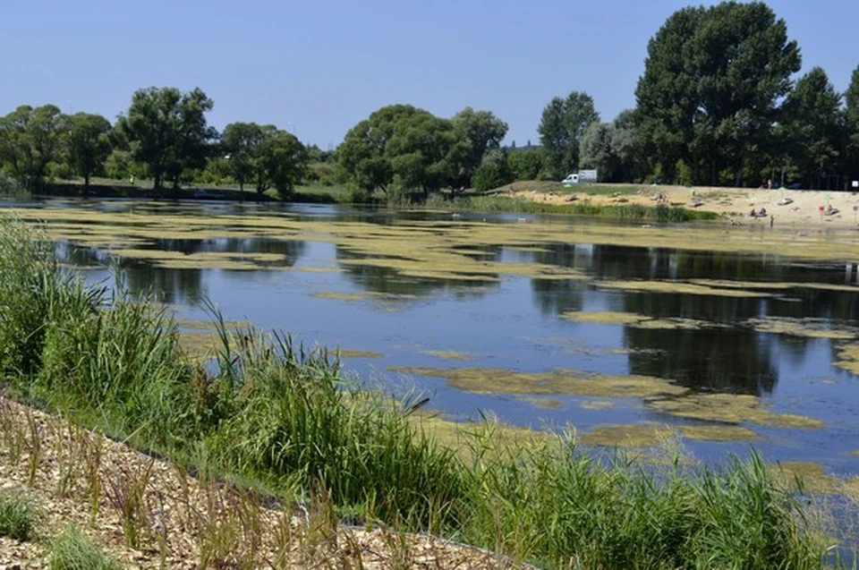 Пожелания горожан лягут в основу работы по расчистке водных объектов в следующем году.